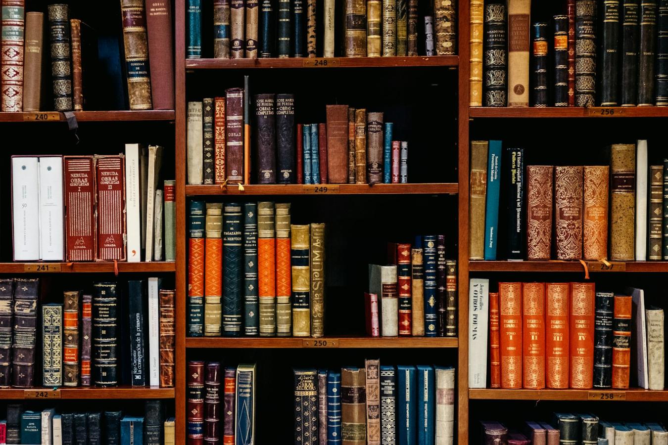 Building a Reading Room at the Manurewa Community Library